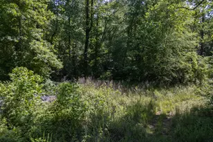 440 Joe Franklin Rd, Sautee Nacoochee, GA 30571 - Photo 2