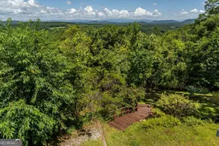 334 Hawksclaw Trl, Morganton, GA 30560 - Photo 60