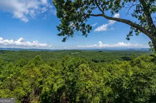 334 Hawksclaw Trl, Morganton, GA 30560 - Photo 4