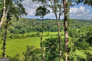 1729 Barnes Chapel Rd, Blue Ridge, GA 30513 - Photo 4
