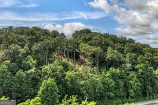 1729 Barnes Chapel Rd, Blue Ridge, GA 30513 - Photo 54