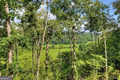 1729 Barnes Chapel Road, Blue Ridge, GA 30513 - Photo 52