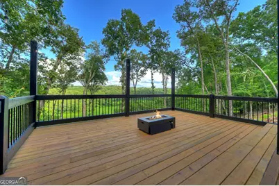1729 Barnes Chapel Road, Blue Ridge, GA 30513 - Photo 40