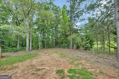 1276 Long Piney Road, Mansfield, GA 30055 - Photo 36