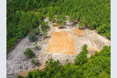381 Findley Cemetery Road, Lyons, GA 30436 - Photo 6
