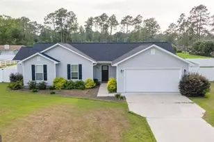 486 Old Blackshear Rd, Baxley, GA 31513 - Photo 1