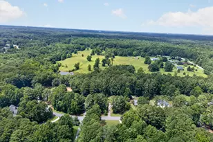 60 Tyler Woods Dr, Sharpsburg, GA 30277 - Photo 66