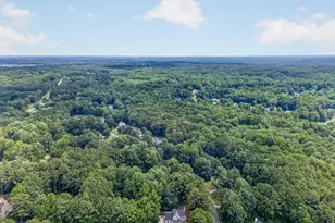 60 Tyler Woods Dr, Sharpsburg, GA 30277 - Photo 70