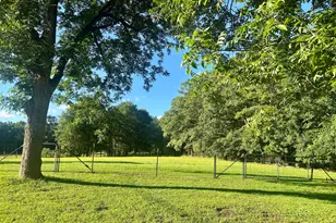 191 Bell Rd, Milner, GA 30257 - Photo 26