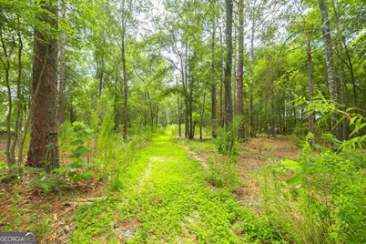 0 Hwy 80, Ellabell, GA 31308 - Photo 16