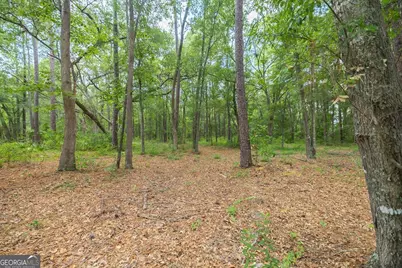 0 Hwy 80, Ellabell, GA 31308 - Photo 18