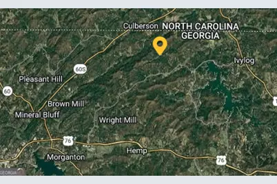 0 Jonica Gap Road, Morganton, GA 30560 - Photo 4