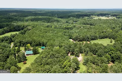 710 Line Creek Road, Senoia, GA 30276 - Photo 98