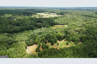 710 Line Creek Road, Senoia, GA 30276 - Photo 100