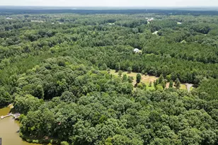 710 Line Creek Rd, Senoia, GA 30276 - Photo 108