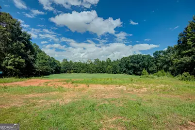 0 Line Creek Creek, Senoia, GA 30276 - Photo 16