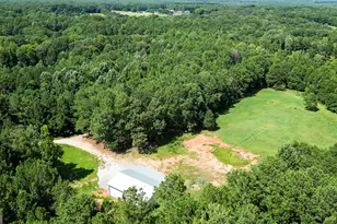0 Line Creek Creek, Senoia, GA 30276 - Photo 8