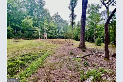 193 Opossum Road, Blairsville, GA 30512 - Photo 10