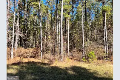 00 Mariners Way, Lincolnton, GA 30817 - Photo 2