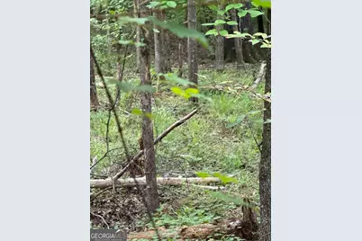 Lot 79 Island Creek Drive, Sparta, GA 31087 - Photo 2