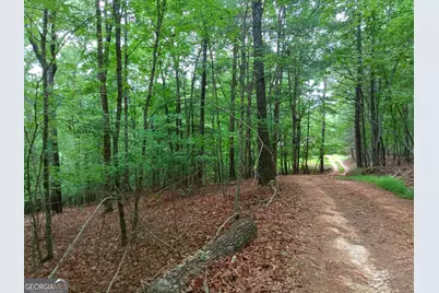 852 Martin Dr, Cleveland, GA 30528 - Photo 14