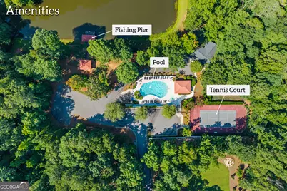 1041 Spring Lake Drive, Bishop, GA 30621 - Photo 62