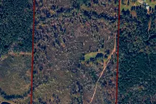 2501 Dennis Rd, Macon, GA 31220 - Photo 1