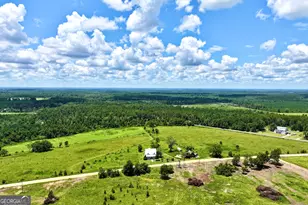 135 Keens Crossing Rd, Adrian, GA 31002 - Photo 18
