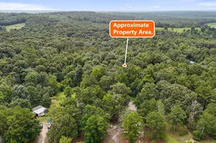 455 Grace Rd, Knoxville, GA 31050 - Photo 4