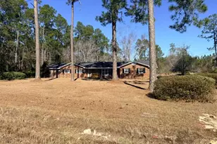2993 Golden Isle E, Baxley, GA 31513 - Photo 2