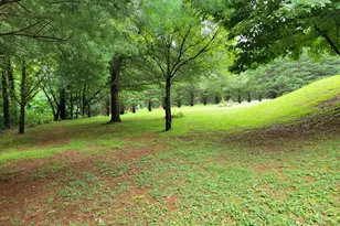 1523 Berrong Rd, Hiawassee, GA 30546 - Photo 38