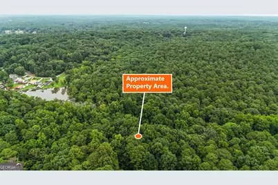 0 Hummingbird Drive, Monticello, GA 31064 - Photo 8