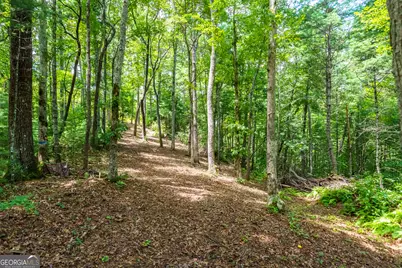 0 Higdon Creek Road, Blue Ridge, GA 30513 - Photo 20