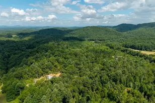 0 Higdon Creek Rd, Blue Ridge, GA 30513 - Photo 48