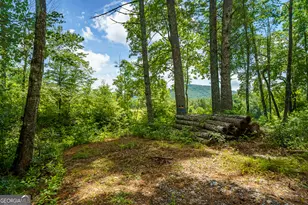 0 Higdon Creek Rd, Blue Ridge, GA 30513 - Photo 10