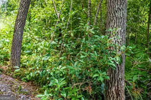 0 Higdon Creek Rd, Blue Ridge, GA 30513 - Photo 24
