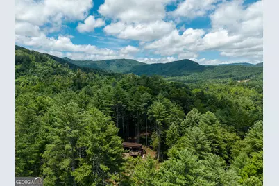 0 Higdon Creek Road, Blue Ridge, GA 30513 - Photo 40