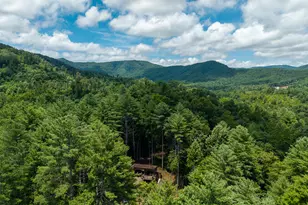 0 Higdon Creek Rd, Blue Ridge, GA 30513 - Photo 40