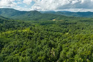 0 Higdon Creek Rd, Blue Ridge, GA 30513 - Photo 44