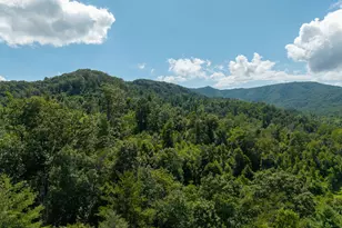 0 Higdon Creek Rd, Blue Ridge, GA 30513 - Photo 36