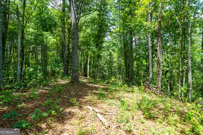 0 Higdon Creek Road, Blue Ridge, GA 30513 - Photo 22