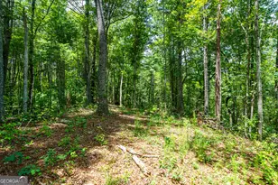 0 Higdon Creek Rd, Blue Ridge, GA 30513 - Photo 22