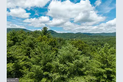 0 Higdon Creek Road, Blue Ridge, GA 30513 - Photo 32