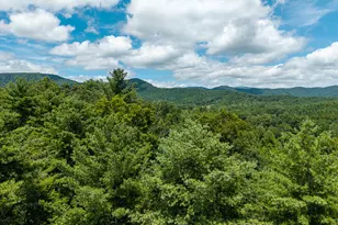 0 Higdon Creek Rd, Blue Ridge, GA 30513 - Photo 32