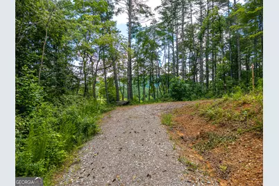 0 Higdon Creek Road, Blue Ridge, GA 30513 - Photo 18