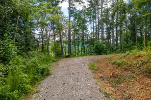 0 Higdon Creek Rd, Blue Ridge, GA 30513 - Photo 18