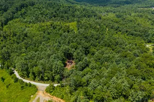 0 Higdon Creek Rd, Blue Ridge, GA 30513 - Photo 42