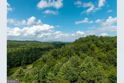 0 Higdon Creek Road, Blue Ridge, GA 30513 - Photo 34