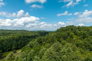 0 Higdon Creek Rd, Blue Ridge, GA 30513 - Photo 34