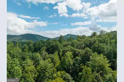 0 Higdon Creek Road, Blue Ridge, GA 30513 - Photo 38